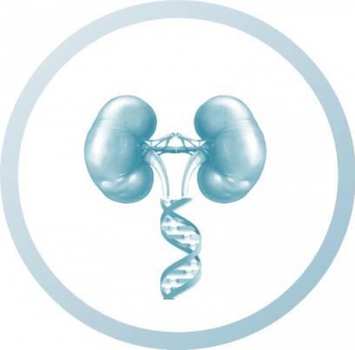 Medico Urolog | GUPI